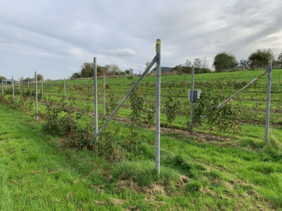 afbeelding5