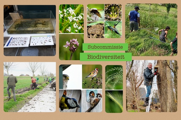 foto-biodiversiteit-website-hbadd